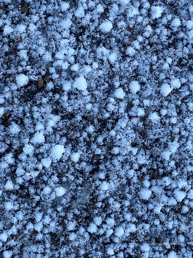 Graupel on Friday, February 7, 2020 at 8:11 a.m. CT in Arlington Heights, Illinois